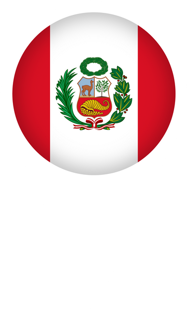 Pointer with Flag Peru